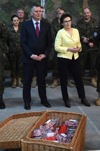 Premier Ewa Kopacz i ministerTomasz Siemoniak