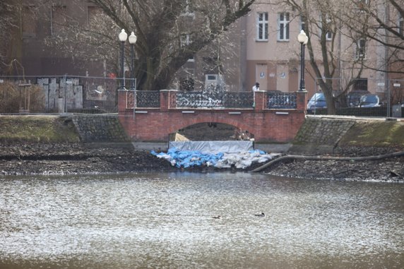 Prace przy spuszczaniu wody z parku Róż w Gorzowie