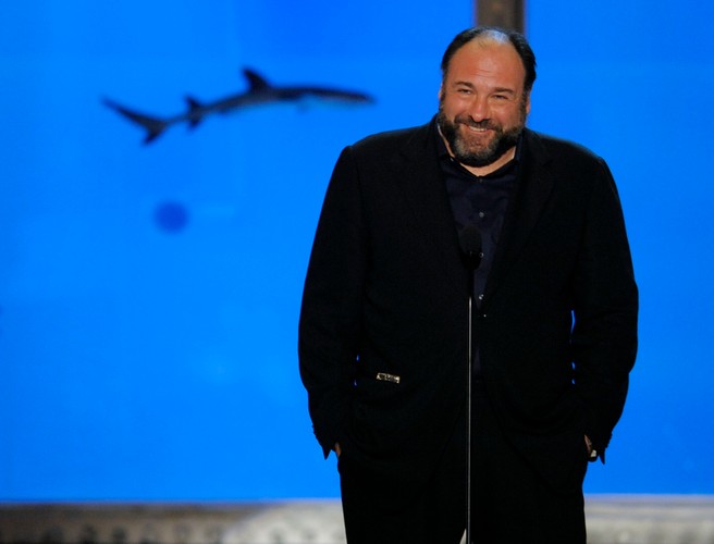 James Gandolfini w roku 2010