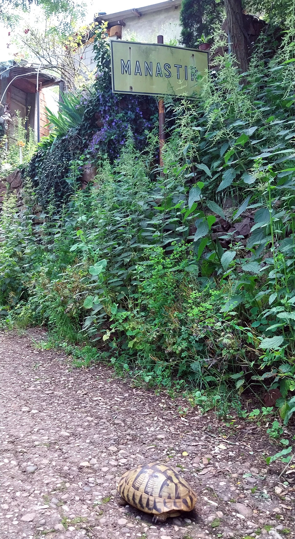 Manastir najmanje selo u Nišavskom okrugu ima samo četiri stanovnika