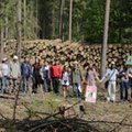 UNESCO wzywa rząd do zaprzestania wycinania Puszczy Białowieskiej