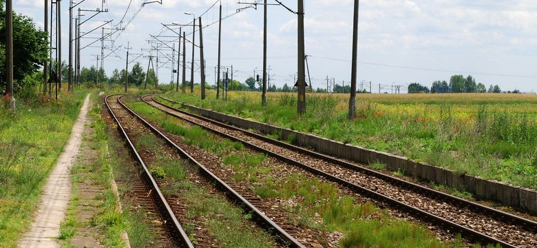 Prezes Intercity zdradza gorzką prawdę o stanie kolei