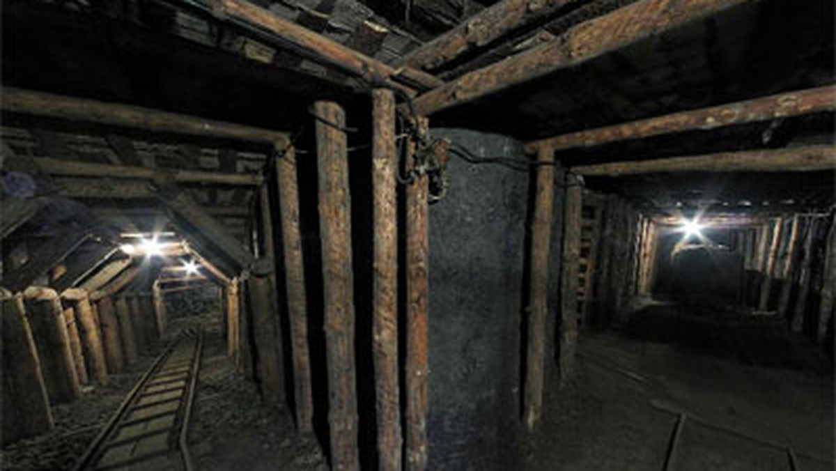 Zabrze udostępni turystom Główną Kluczową Sztolnię Dziedziczną, zabytek górniczy z przełomu XVIII i XIX wieku - informuje "Puls Biznesu".