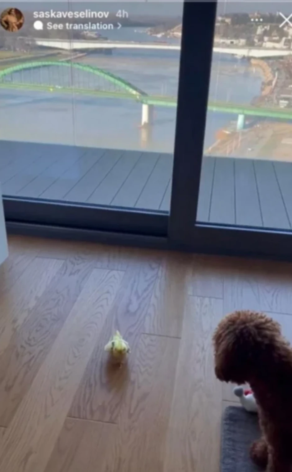 Stan Đoleta i Saške