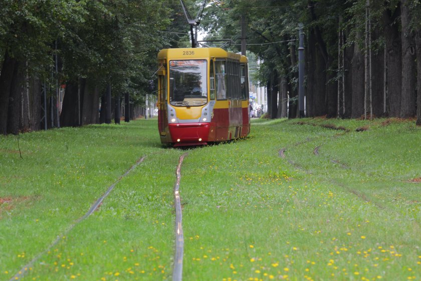 Wojska Polskiego w Łodzi bez tramwaju na Doły