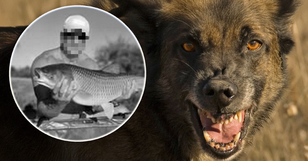 Grzybiarz nie żyje. Przerażające ustalenia śledczych