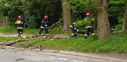 Alarm? W Łodzi straż zareagowała błyskawicznie. Ta miejska i ta pożarna