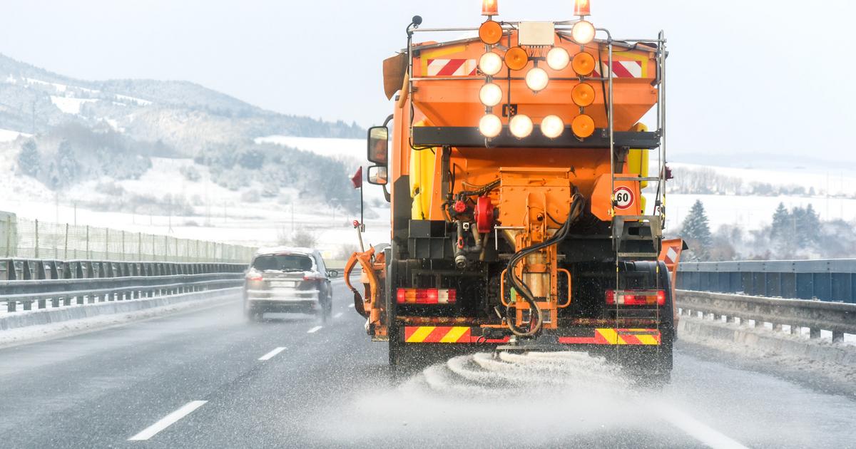  Kierowcy na nią czekają, a ona szkodzi autom i zwierzętom