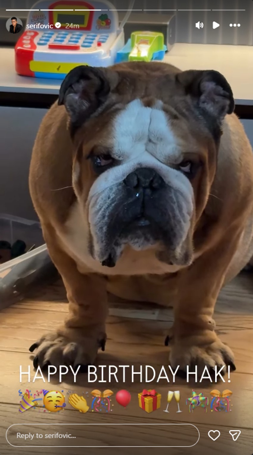 Marija i Mario Šerifović slave rođendan psu