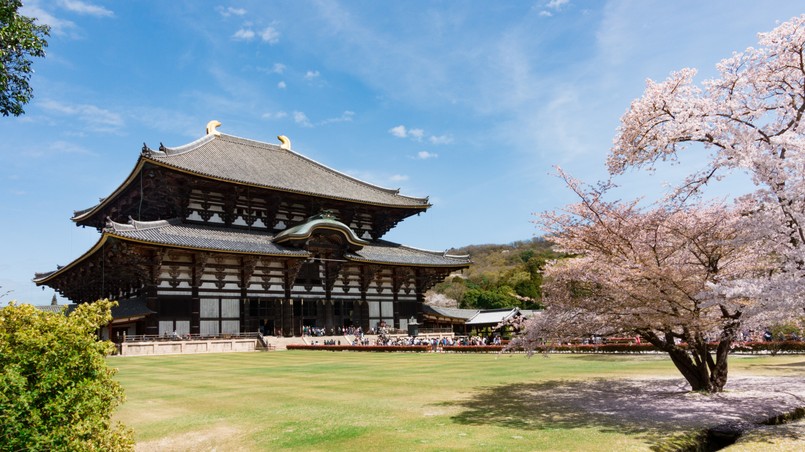 Todaiji,Temple,In,Sakura,Season.