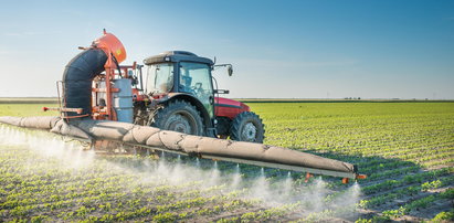 Polscy farmerzy chcą stosować rakotwórczy środek. Dla zysku