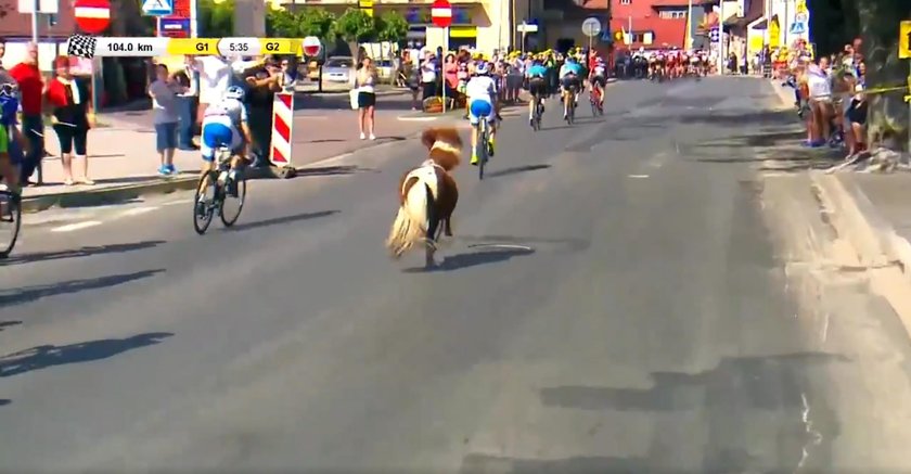 Niespodziewany gość na trasie Tour de Pologne