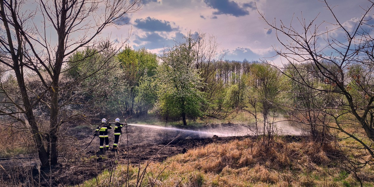 W tej chwili mamy znacznie gorszą sytuację hydrologiczną, niż w analogicznym okresie w ubiegłym roku - przestrzega ekspert ds. hydrologicznych w Polsce