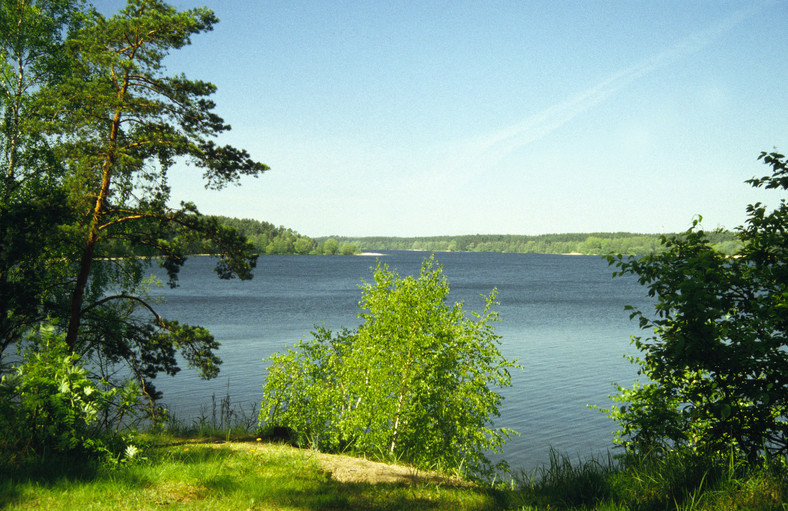 Jezioro Sajno, Augustów