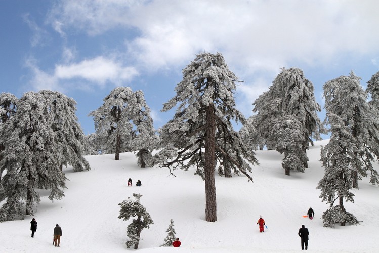 Śnieg na Cyprze