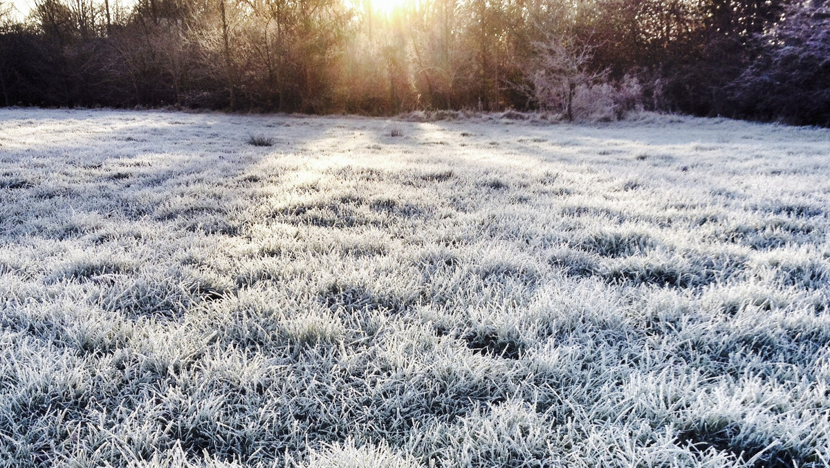 W całej Polsce dziś bardzo zimne, arktyczne powietrze. Pada także przelotny deszcz i śnieg z deszczem. Instytut Meteorologii i Gospodarki Wodnej podaje, że możemy spodziewać się przymrozków aż w 14 województwach, z wyjątkiem zachodniopomorskiego i lubuskiego.