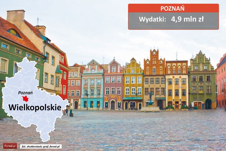 Dziewiątą pozycję, z budżetem na poziomie 4,9 mln zł, zajął Poznań. W ramach tej kwoty stolica Wielkopolski wykonała takie działania jak: 
<br>- kampania zagraniczna Innovation Teleport,
<br>- kampania Akademicki Poznań – „Poznań Przyciąga”,
<br>- kampania Startup Poznań.
<br>Gadżety kosztowały miasto 60,6 tys. zł. Ponad połowę tej kwoty pochłonęły nagrody konkursów organizowanych w serwisach społecznościowych Facebook, Foursquare, Instagram i Pinterest.