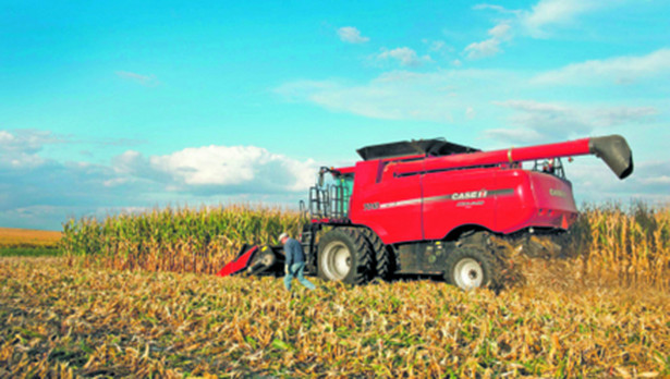 Rosnące zapasy kukurydzy powodują spadek jej cen Bloomberg