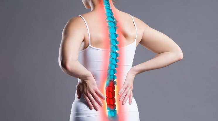 A gerincet érő sérülések megállítják az agyból a test többi részébe küldött üzenet útját, ez okozza a bénulást / Fotó: Shutterstock