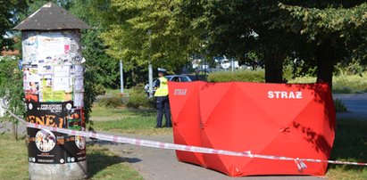 Zabił kobietę na pasach, uciekł i spalił auto