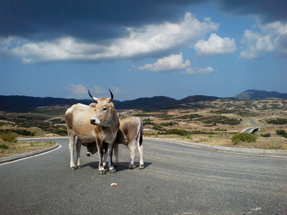 Urađena je kompletna infrastruktura, ali kuća i ljudi nema!
