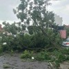 Kokin Brod 