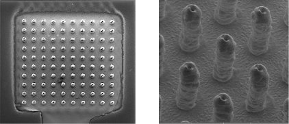 100 sztuk mikropilarów umieszczonych na powierzchni 2x2mm