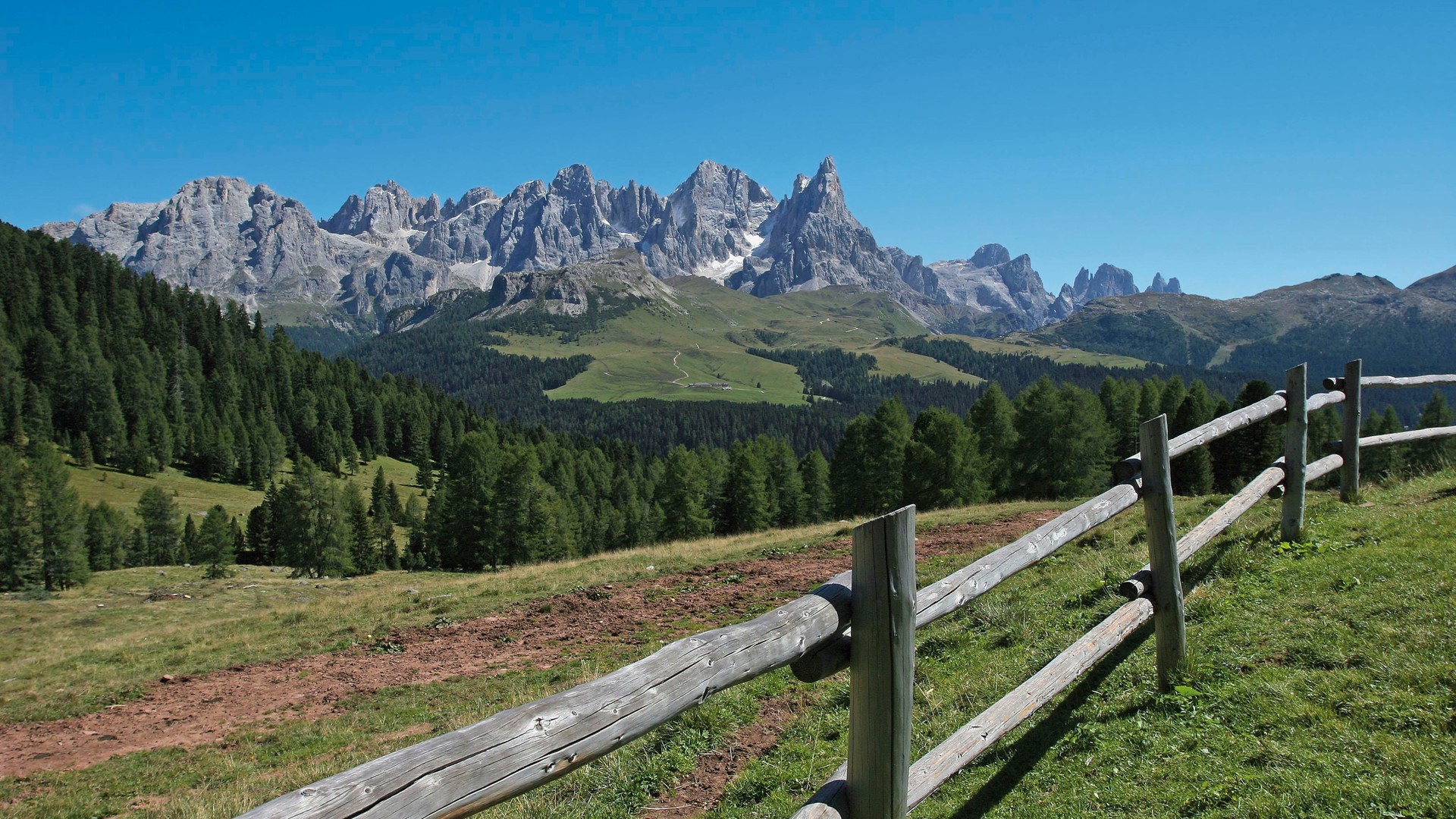 Widok na Dolomity w dolinie Val di Fiemme (Trentino)