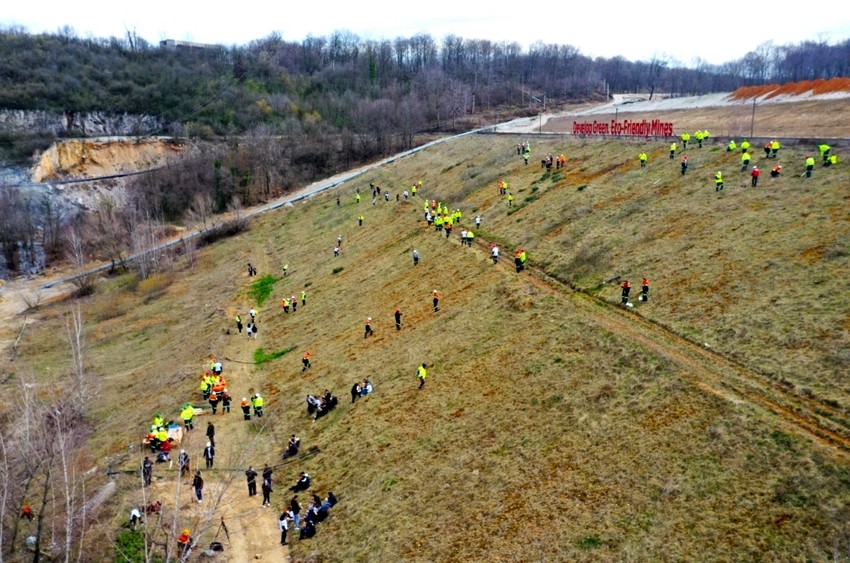 Akcija pošumljavanja u Majdanpeku