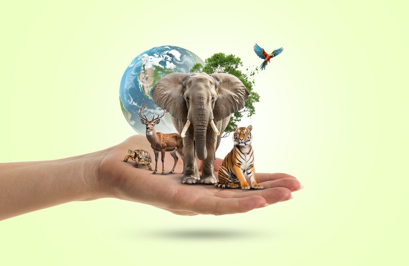 Biologia przyroda quiz World,Earth,Day,Or,World,Animal,Day,Or,Saving-animal,-protect,Wildlife