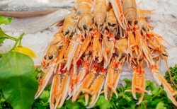 Rok od wybuchu epidemii targ owoców morza w Wuhanie wciąż zamknięty