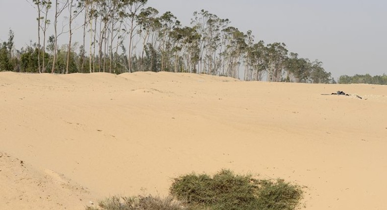 10 countries in Africa with the smallest forest area