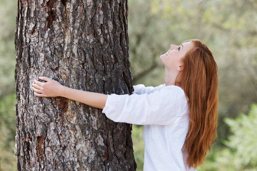 Dendrofil