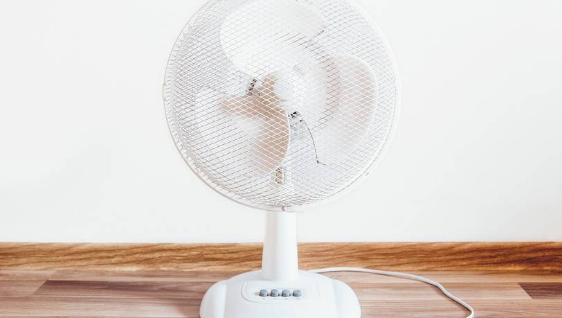Effizient und leise: Standventilatoren ab 20 Euro im Vergleich