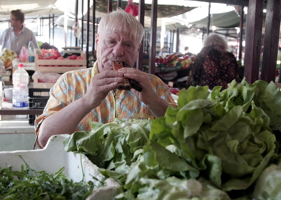 Žika obožava da izvodi pesmu o zelenoj salati
