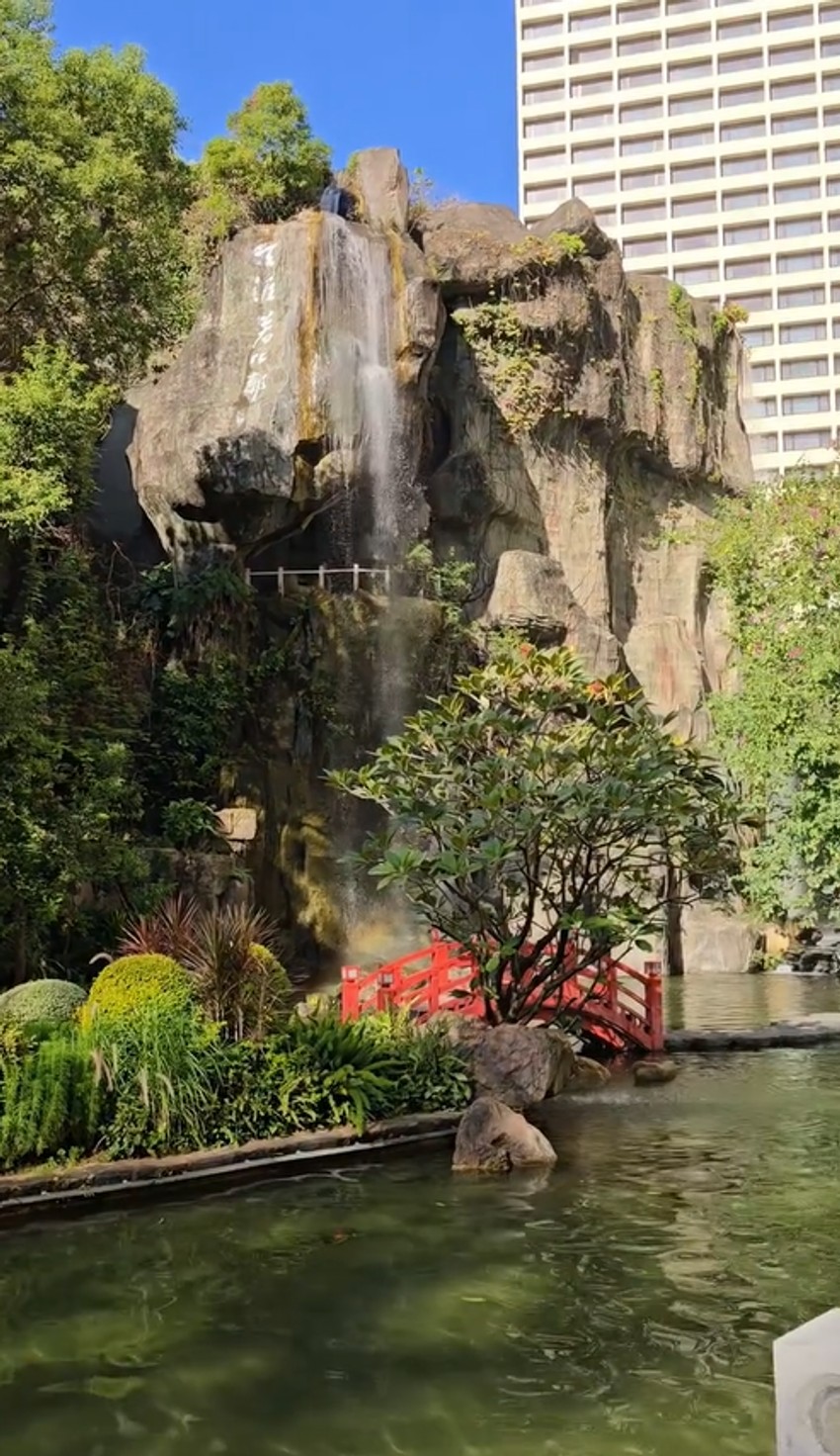 Dragana Bekvalac, objava