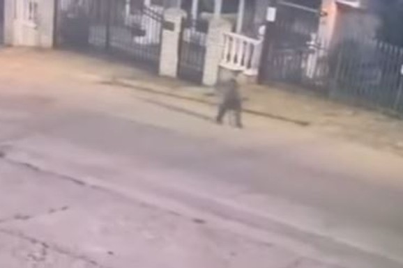 (VIDEO) DVA I PO SATA MISTERIJE Dečak (6) u pidžami šetao ulicom u Nišu, a zatim nestao BEZ TRAGA: Snimak sa nadzorne kamere LEDI KRV, ali posebnu JEZU budi OVO KLJUČNO PITANJE