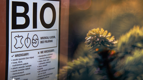 W pozbyciu się świątecznego drzewka w Poznaniu pomoże miasto – z harmonogramem odbioru choinek zapoznać się można na stronie poznan.pl lub w aplikacji Smart City. Nie z każdą choinką postępujemy jednak tak samo.