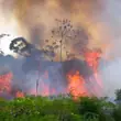 Zmiany klimatu. Zdaniem ekspertów do 2040 r. czeka nas zupełna zmiana stylu życia