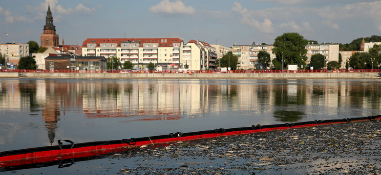 W próbkach z Odry są obecne silne toksyny. Ekspert wyjaśnia czym są tzw. złote algi