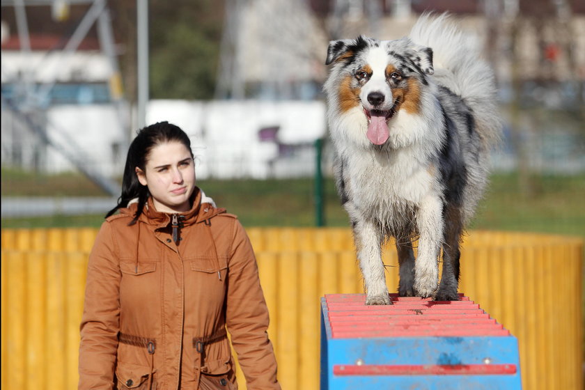 Sosnowiec