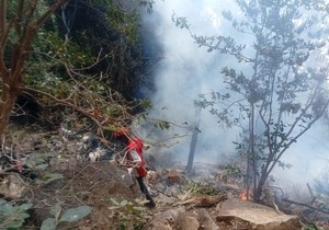 Helikopter se srušio u Keniji