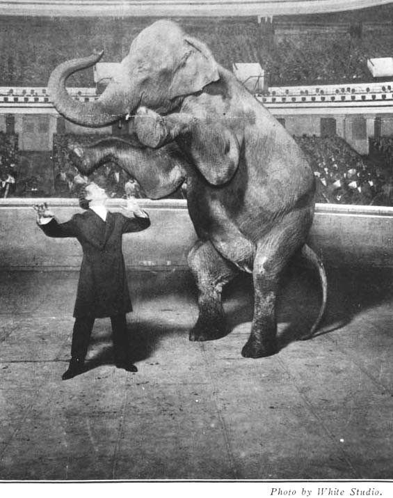 Sztuczka ze znikającym słoniem. 1918 rok.