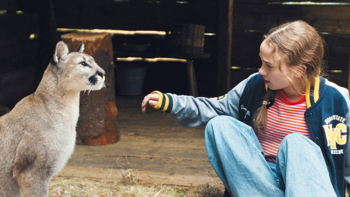 "Zmiennokształtni 2"