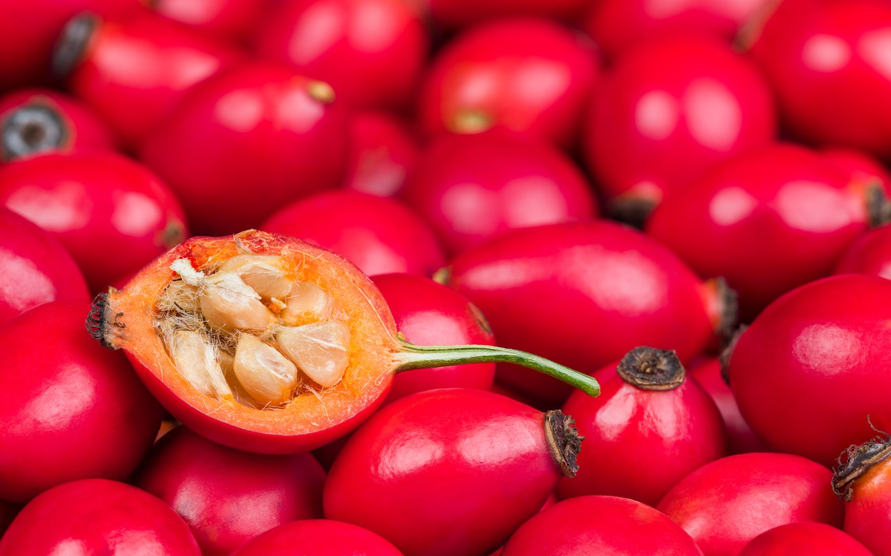 Šípky patria medzi prirodzené zdroje vitamínu C, ktorý prispieva k normálnemu fungovaniu imunitného systému a tvorbe kolagénu. 