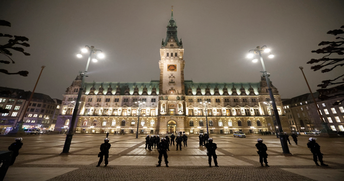 Hamburg-stimmt-am-Mittwoch-ber-Vorbereitung-eines-AfD-Verbots-ab