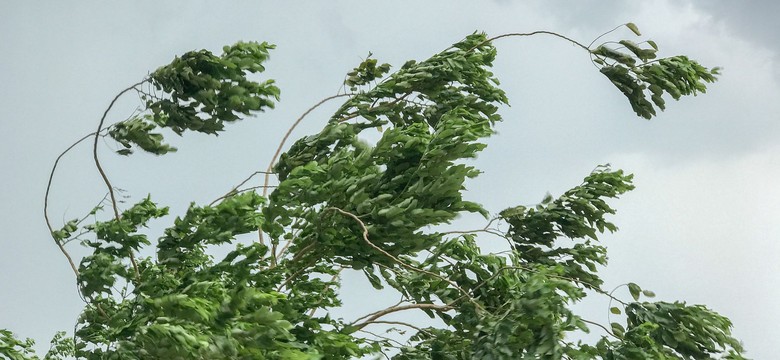 Wichury nad Polską. Potrzaskane samochody, zerwana balustrada balkonu