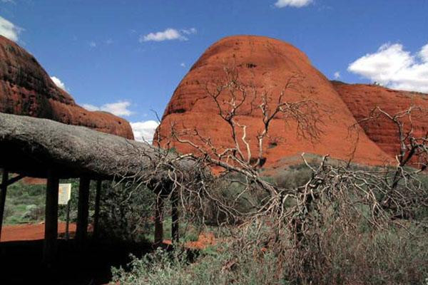 Galeria Australia - Uluru i Kata Tjuta, obrazek 14