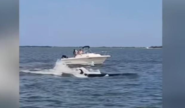 Sudar kita i brodića