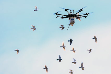 PGNiG pracuje nad dostosowaniem dronów do potrzeb gazownictwa